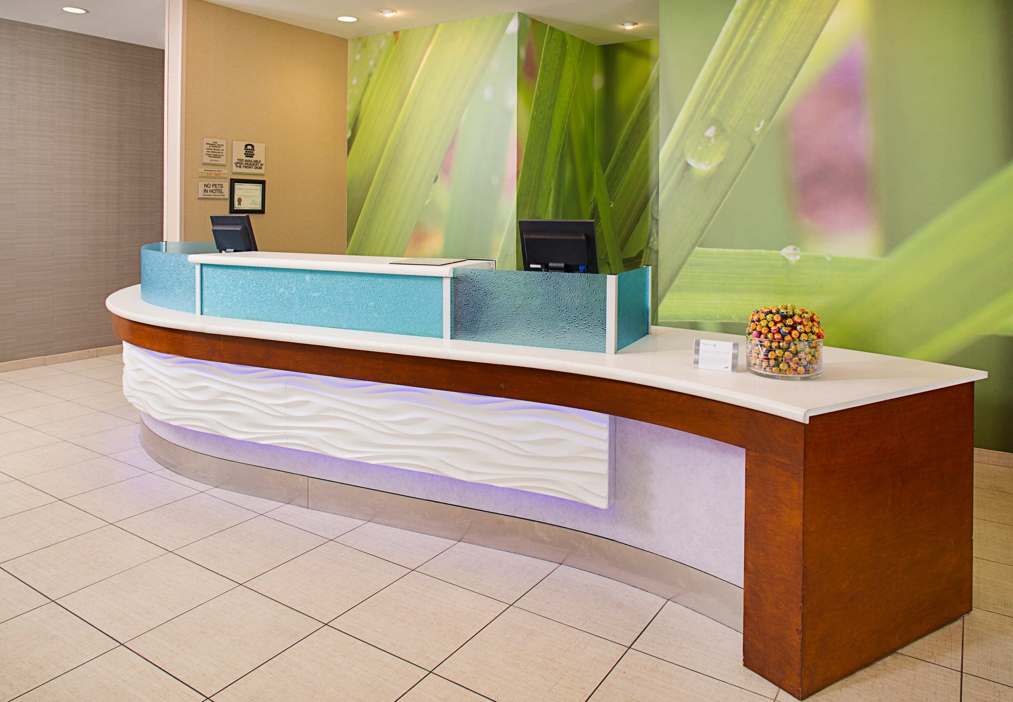 SpringHill Suites Dallas Richardson/Plano