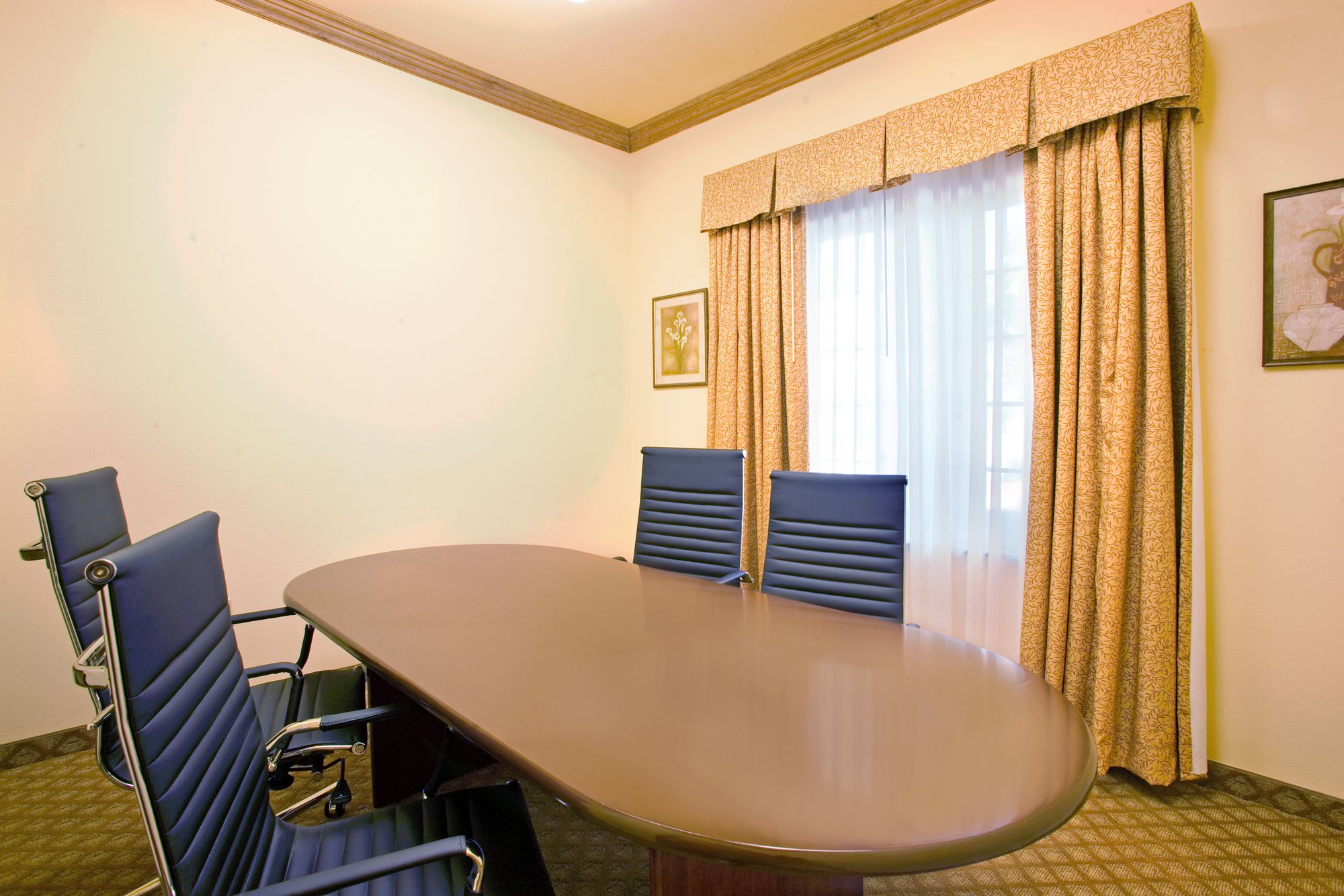 Holiday Inn Express Hotel & Suites Rio Grande City