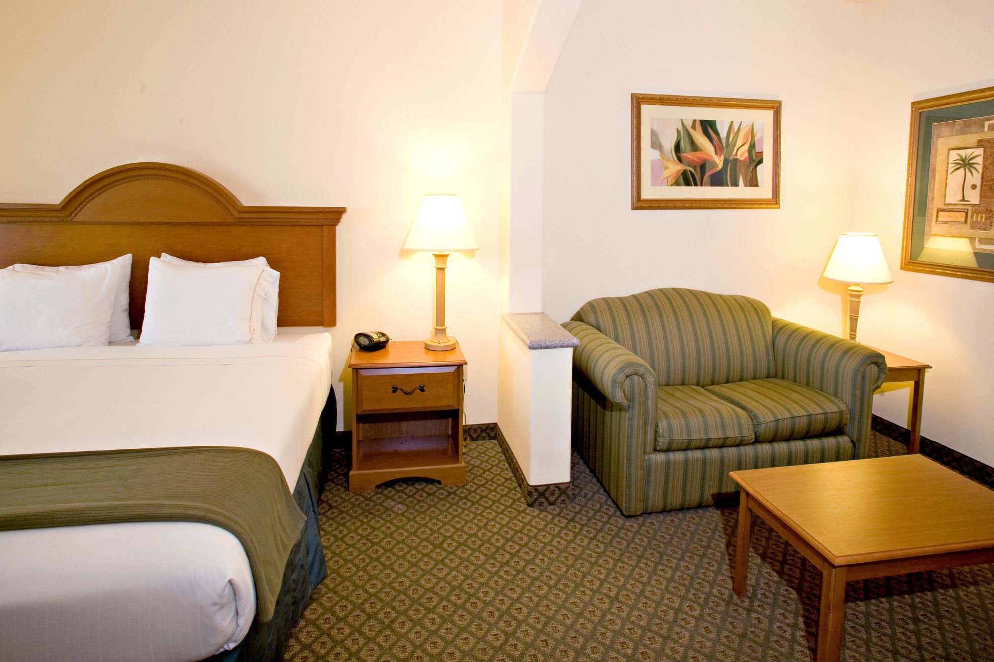 Holiday Inn Express Hotel & Suites Rio Grande City