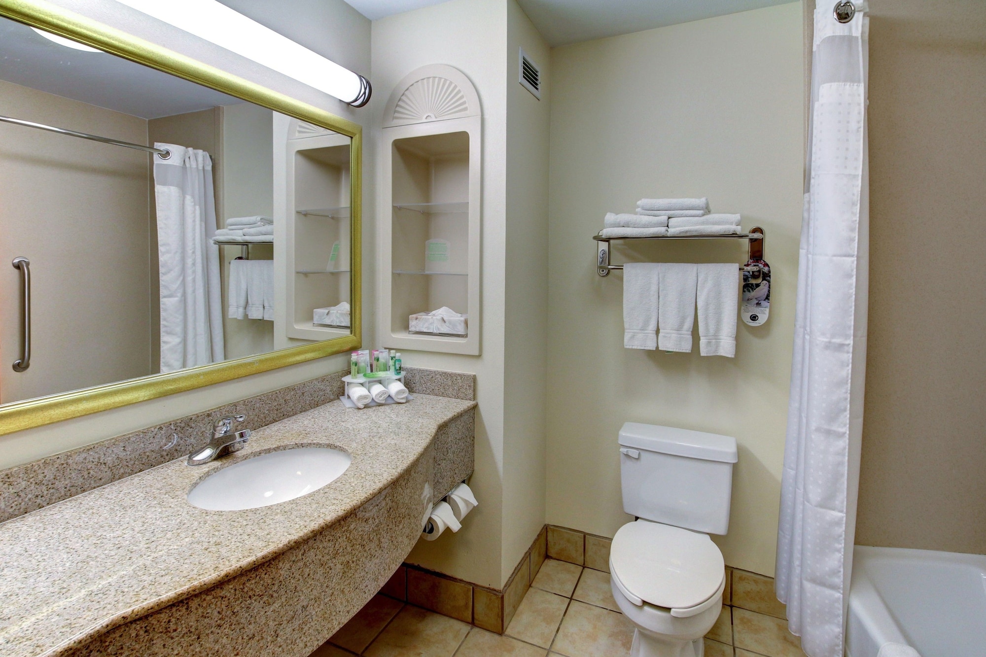 Holiday Inn Express & Suites San Angelo