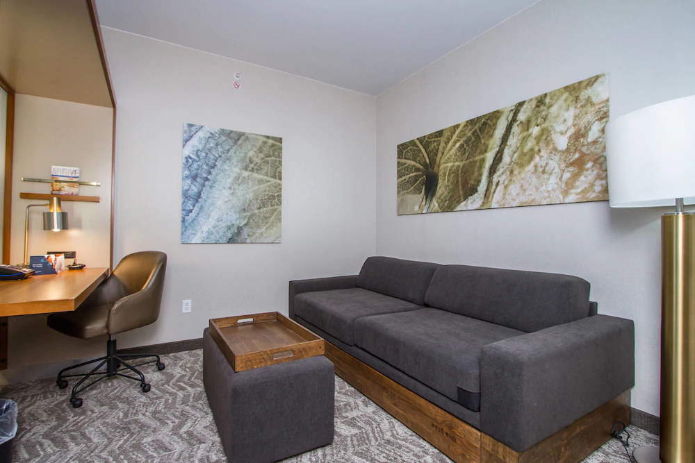 SpringHill Suites by Marriott San Angelo