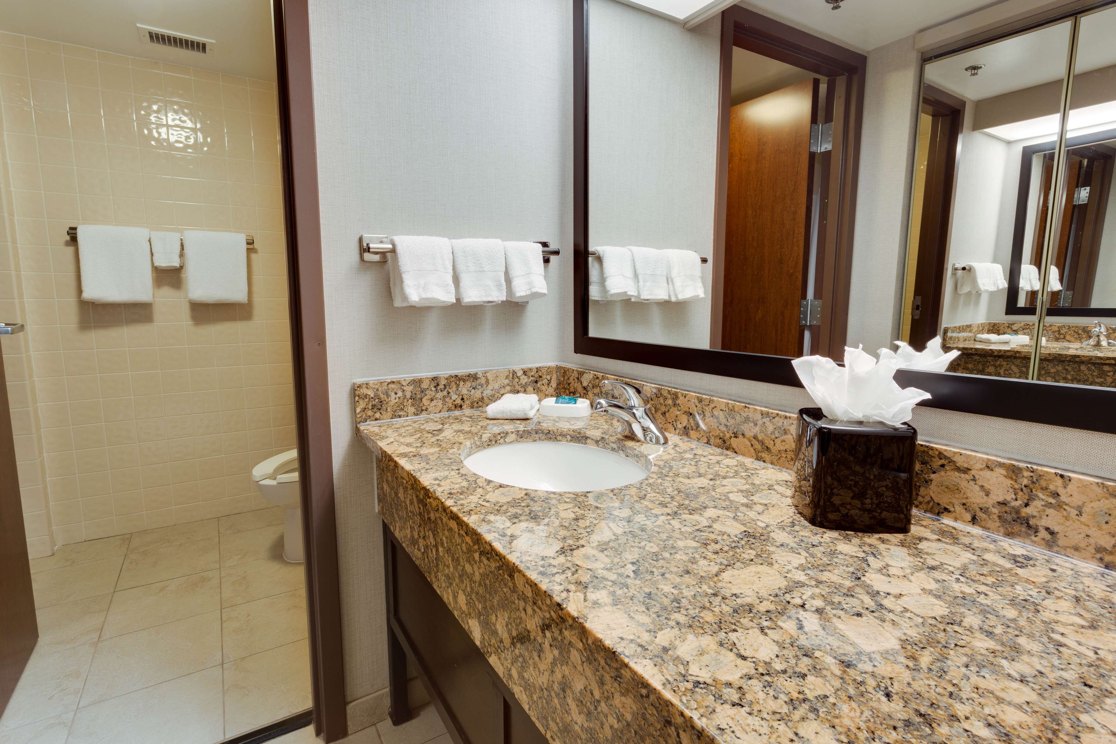 Drury Inn & Suites Northeast San Antonio