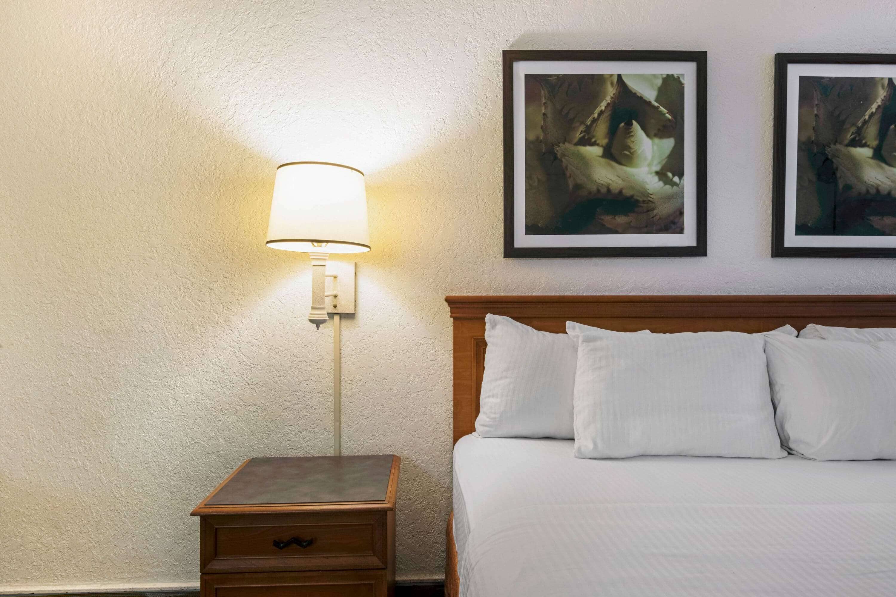 La Quinta Inn San Antonio I-35 N at Rittiman Road