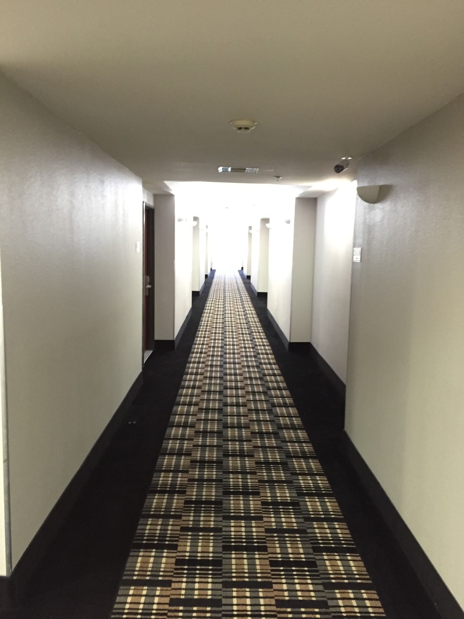 Best Western Executive Inn