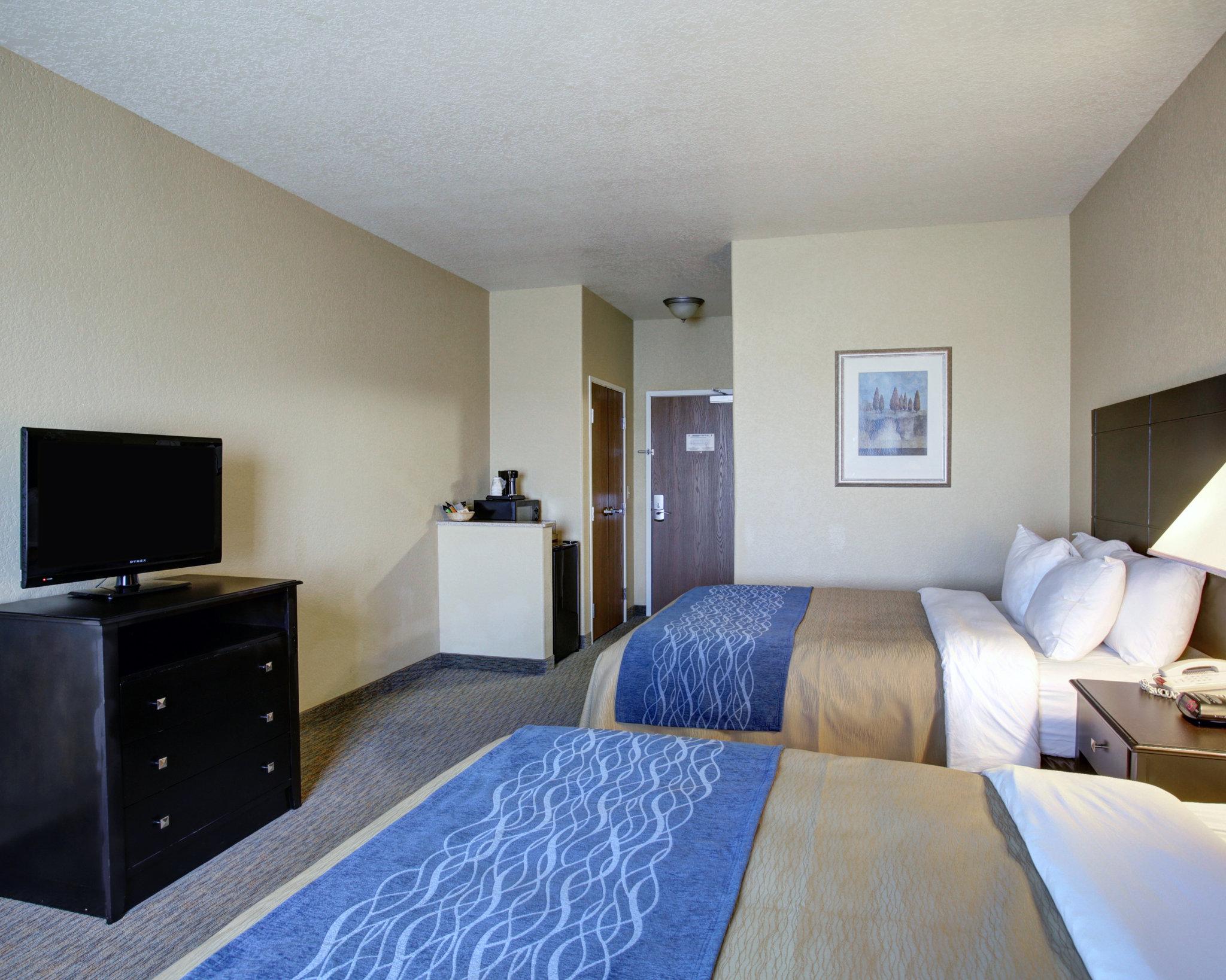 Spark by Hilton Selma