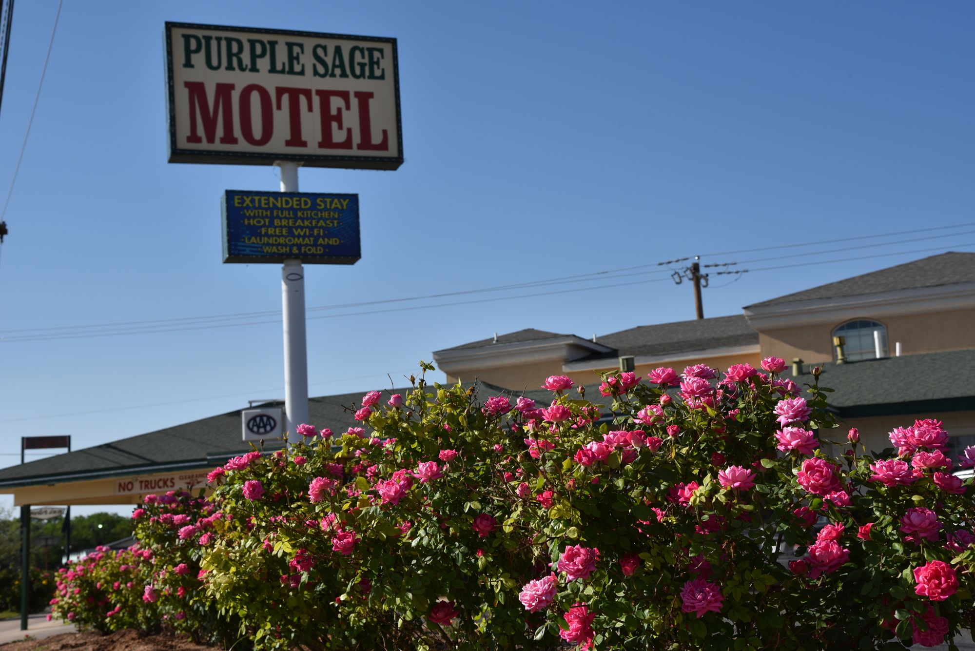 Purple Sage Motel