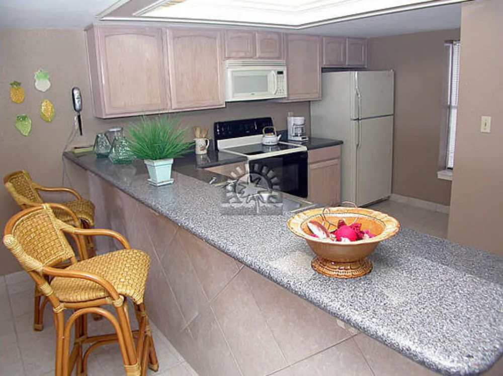 Saida Tower III by Padre Island Rentals