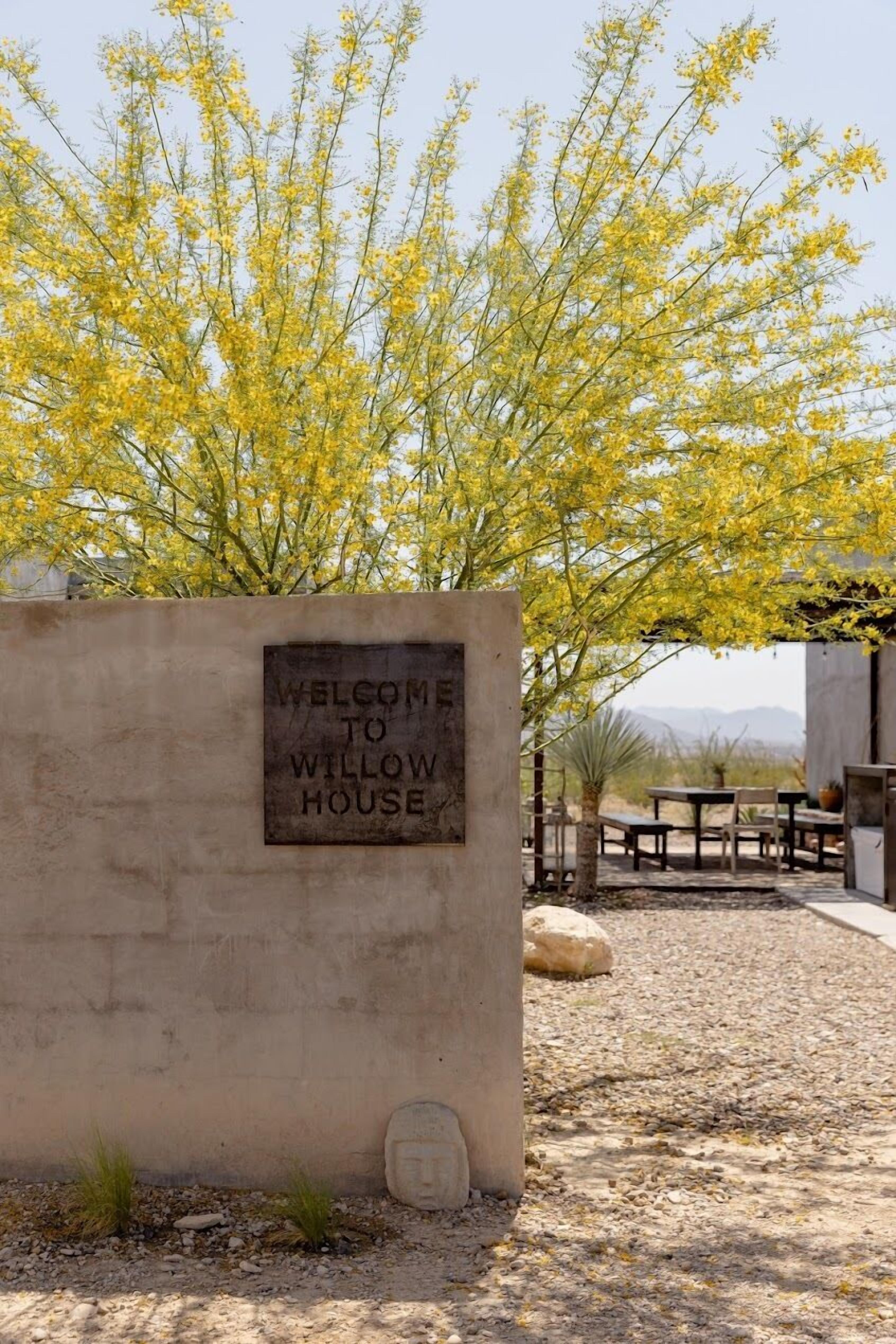 Willow House