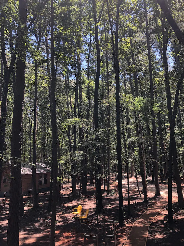 Cora's Cabins