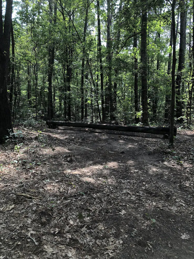 Cora's Cabins