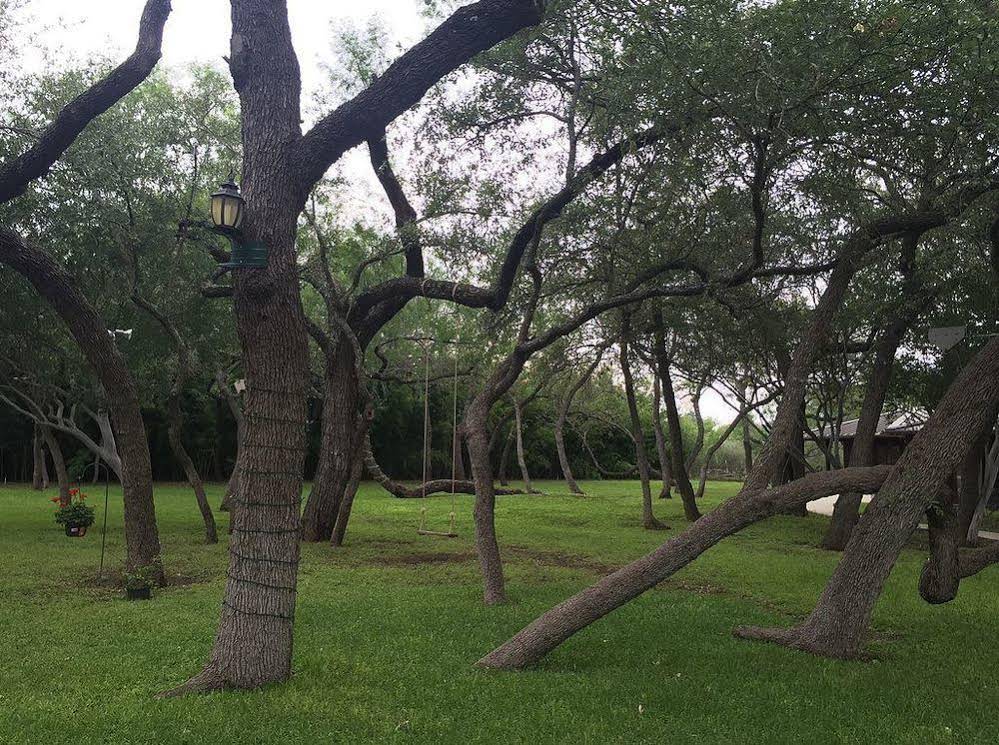Live Oaks Bed and Breakfast