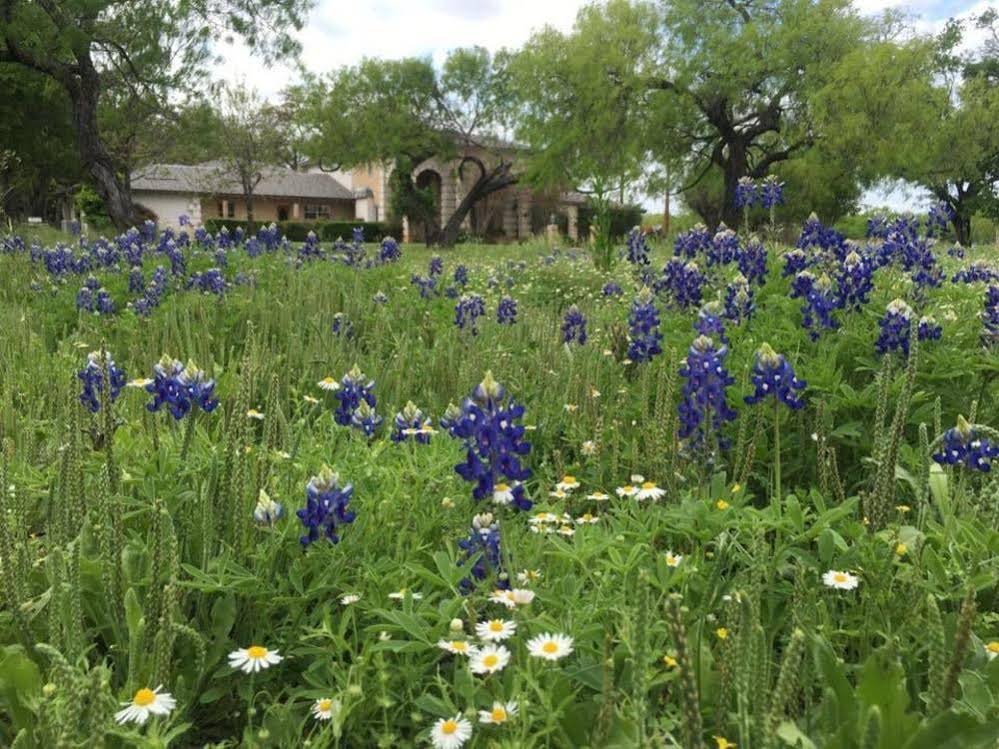 Live Oaks Bed and Breakfast