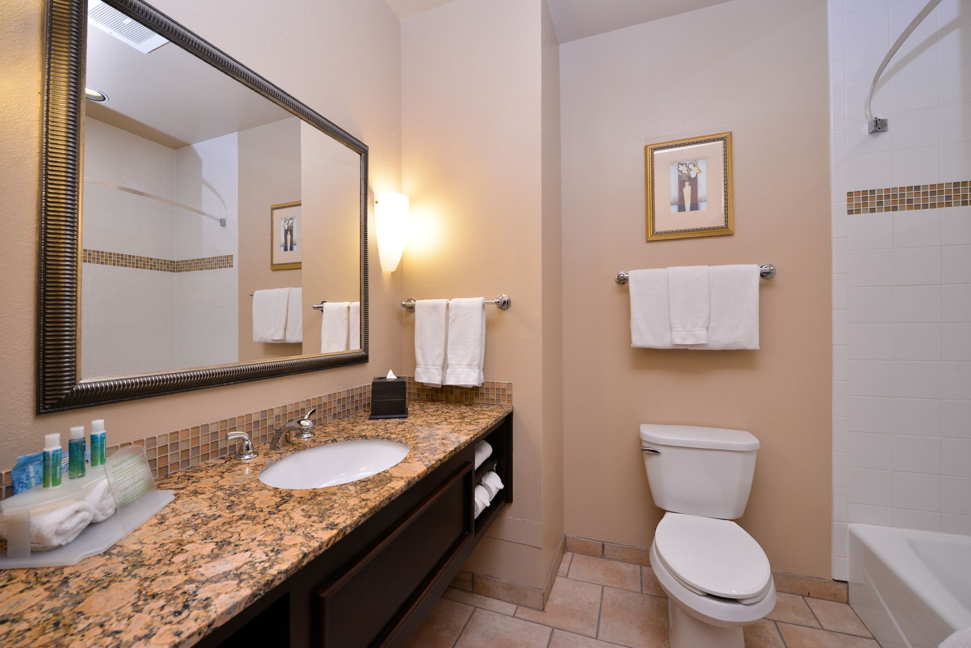 Holiday Inn Express Hotel & Suites Wichita Falls