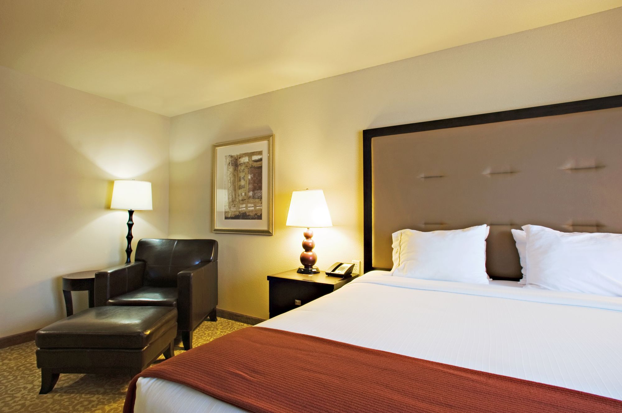 Holiday Inn Express Hotel & Suites Wichita Falls