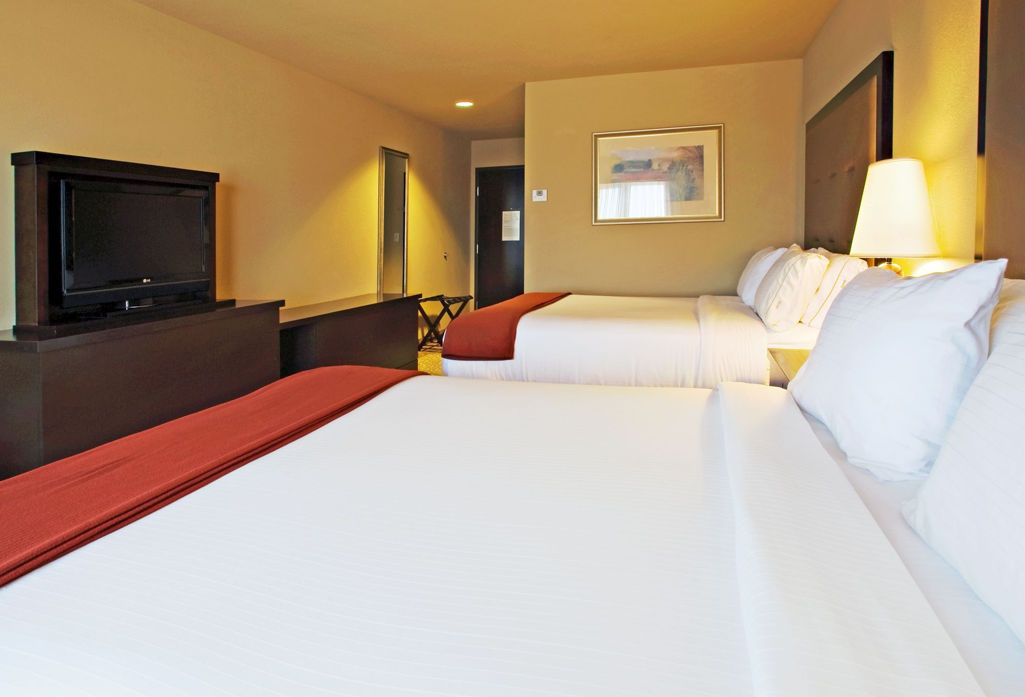Holiday Inn Express Hotel & Suites Wichita Falls
