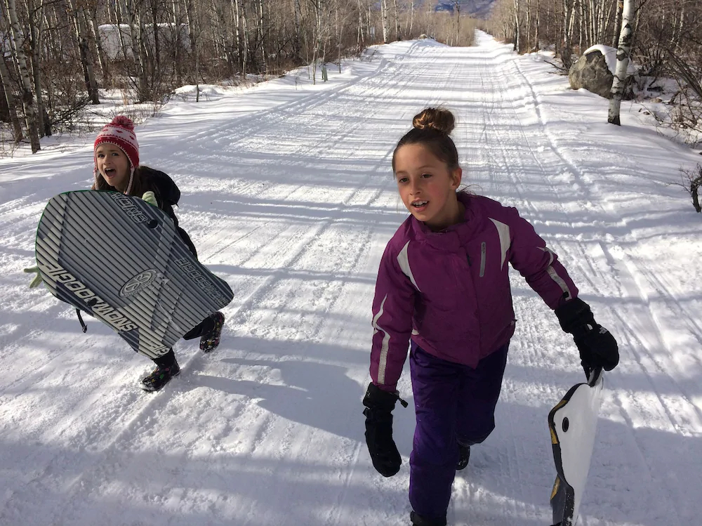 The Aspen Moose Vacation Cabin