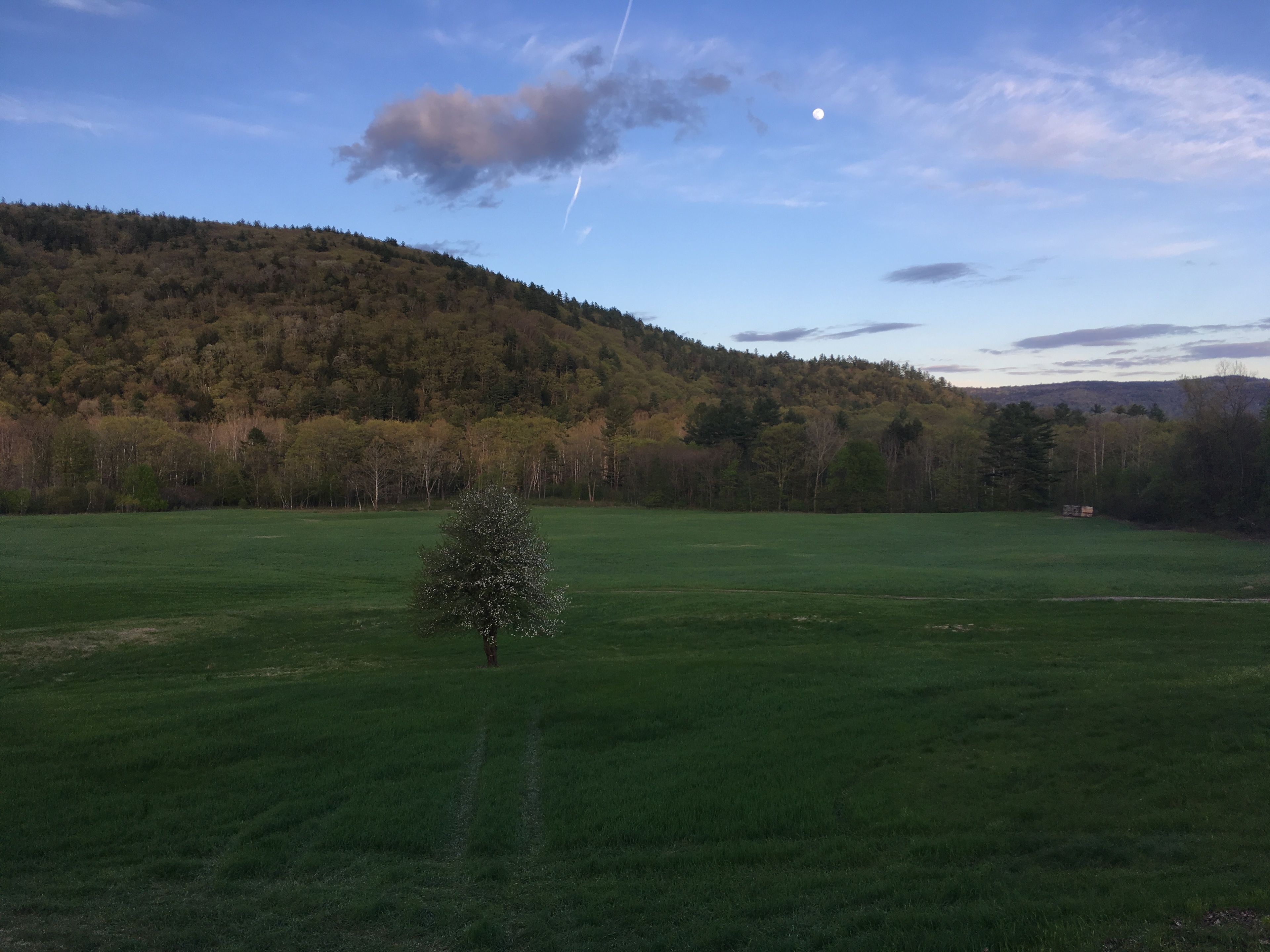 The Lodge at West River