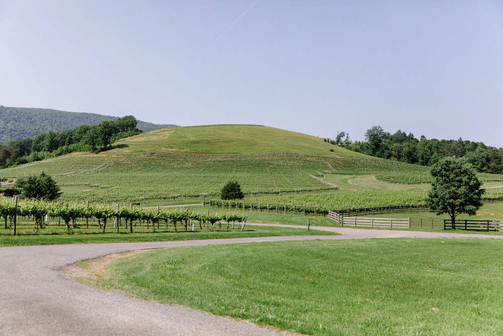 The Farmhouse At Veritas