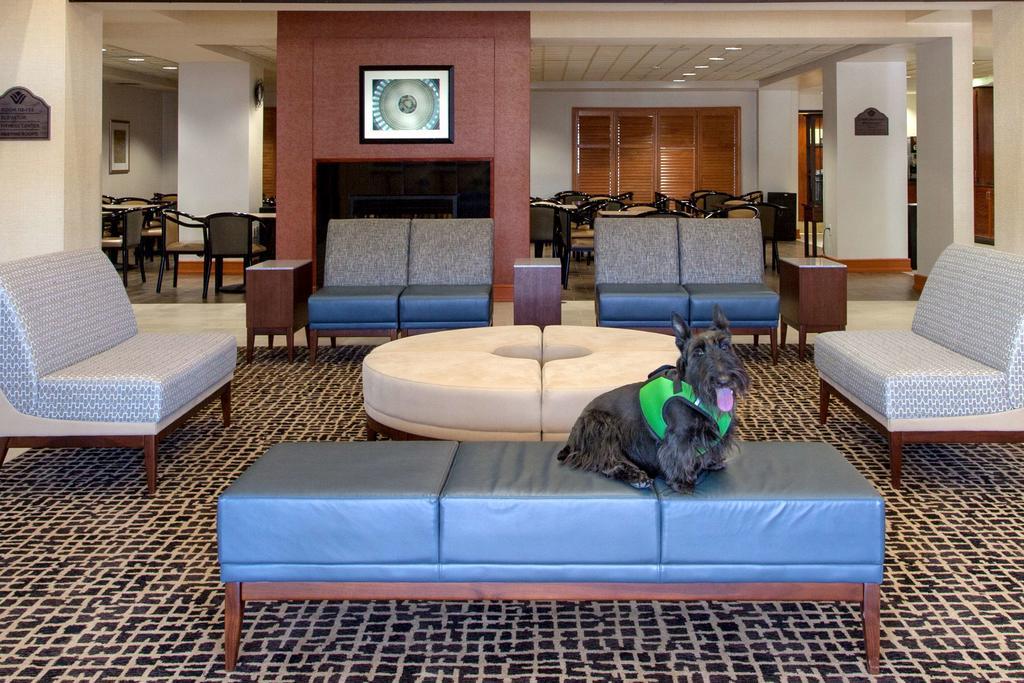 Wingate by Wyndham Chantilly / Dulles Airport