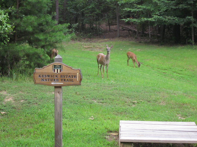 Keswick Hall & Golf Club