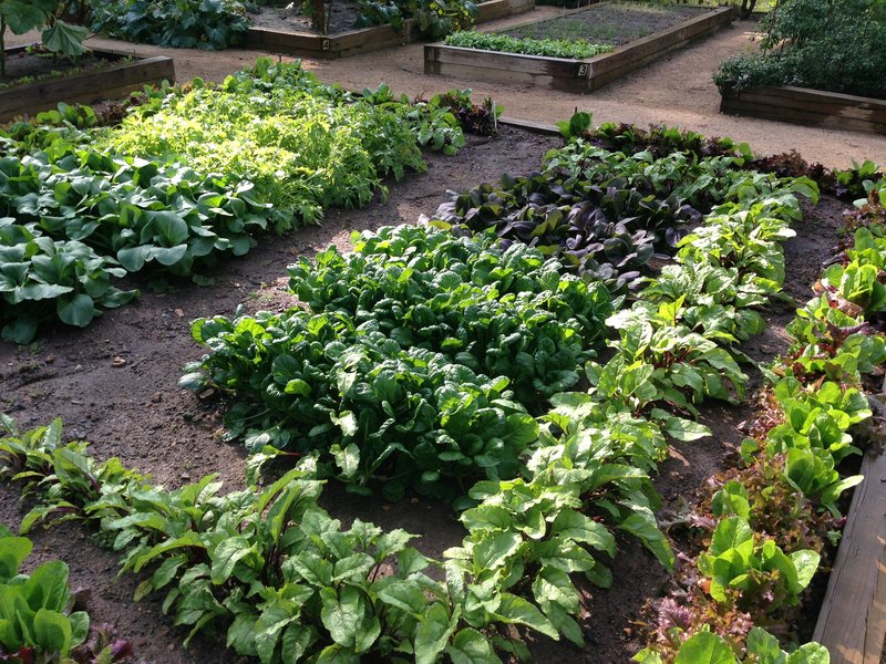 Keswick Hall & Golf Club