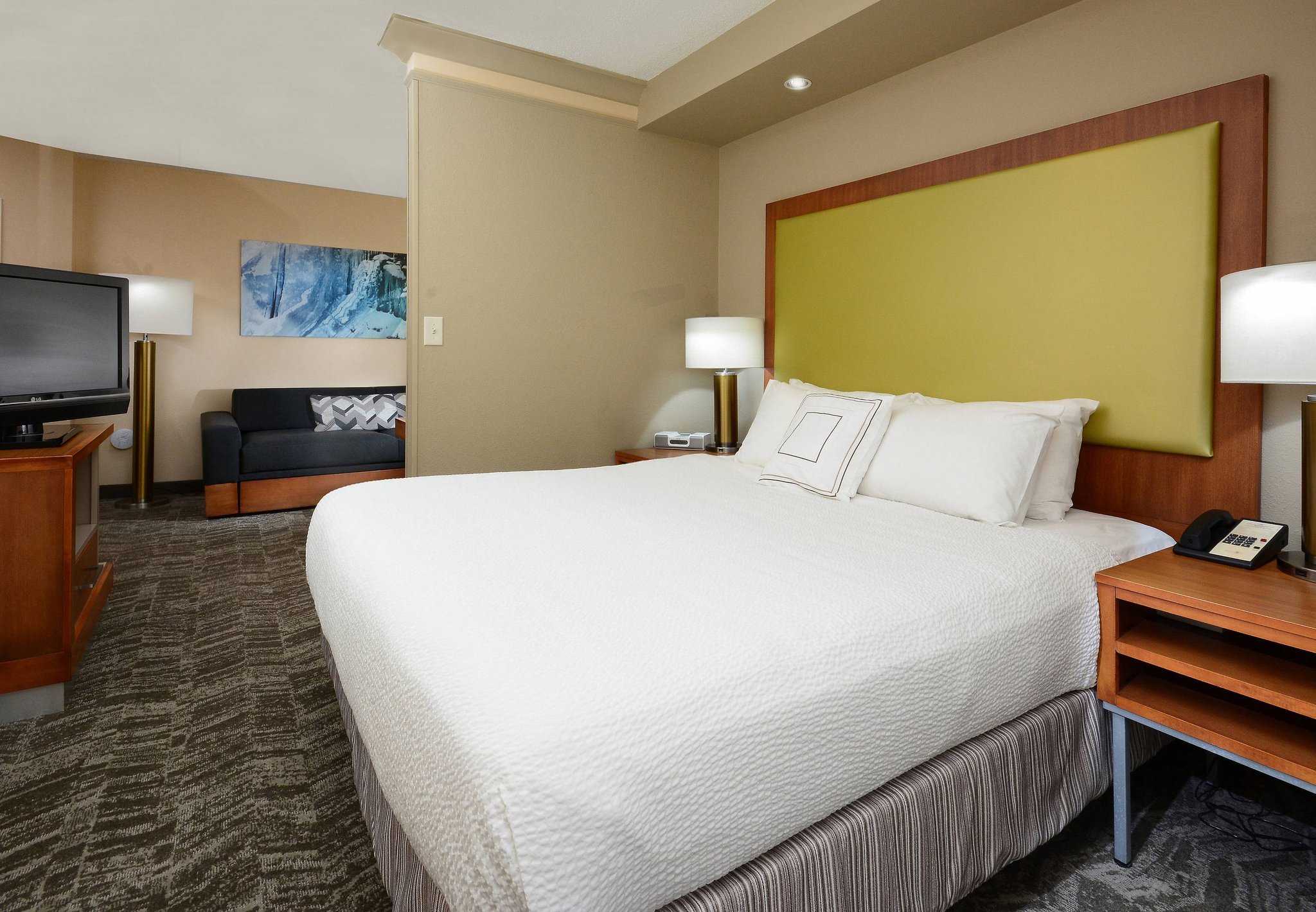 Springhill Suites Lynchburg