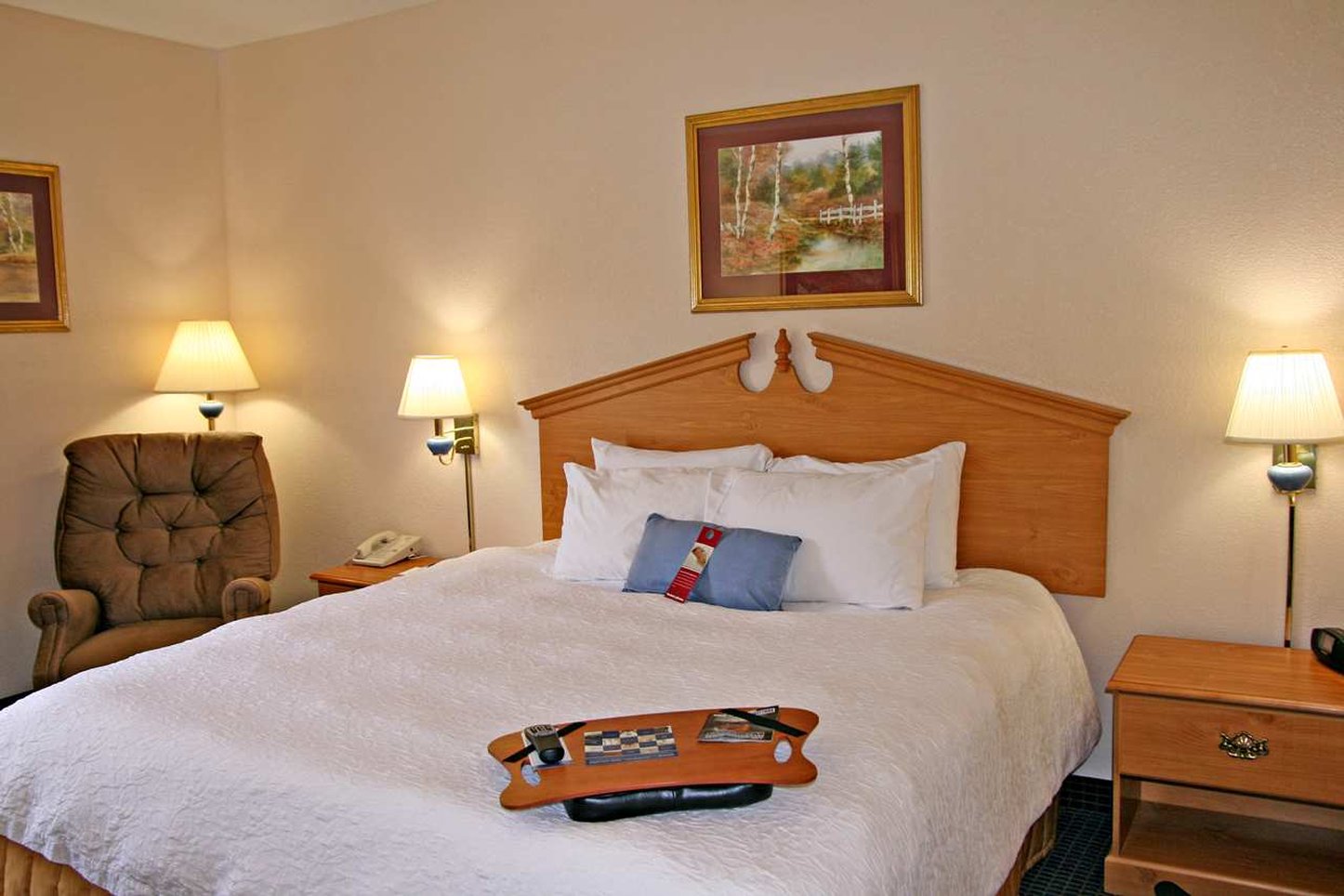 Hampton Inn Ft. Chiswell-Max Meadows