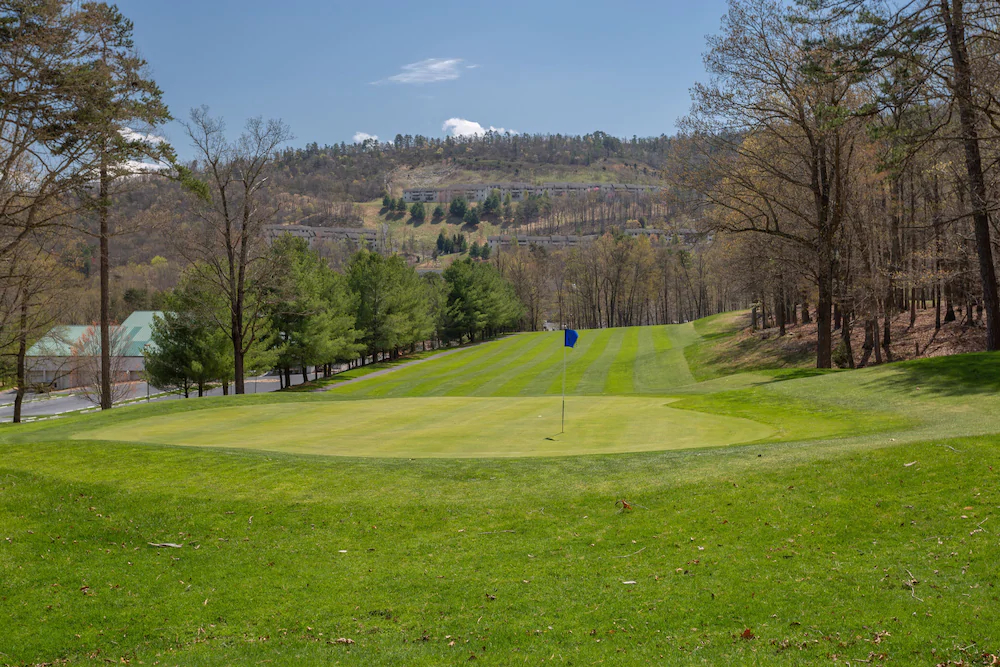 Massanutten's Shenandoah Villas by Tripforth
