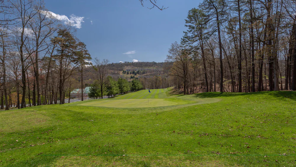 Massanutten's Shenandoah Villas by Tripforth