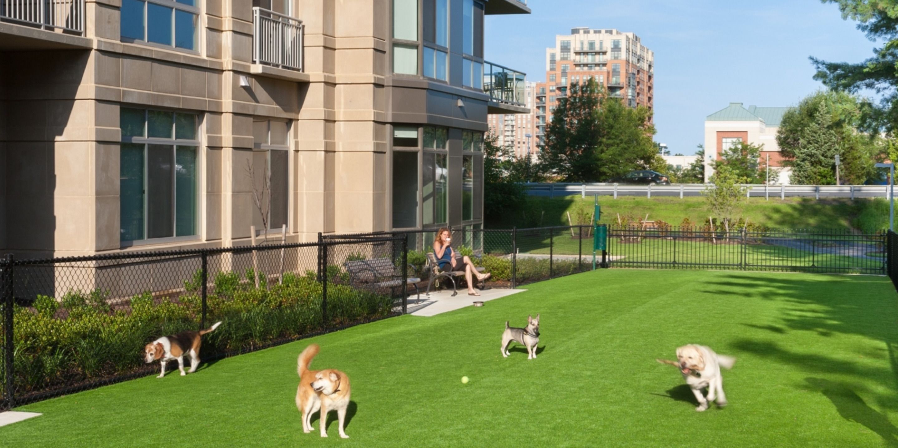 Harrison at Reston Town Center by Bluebird Suites