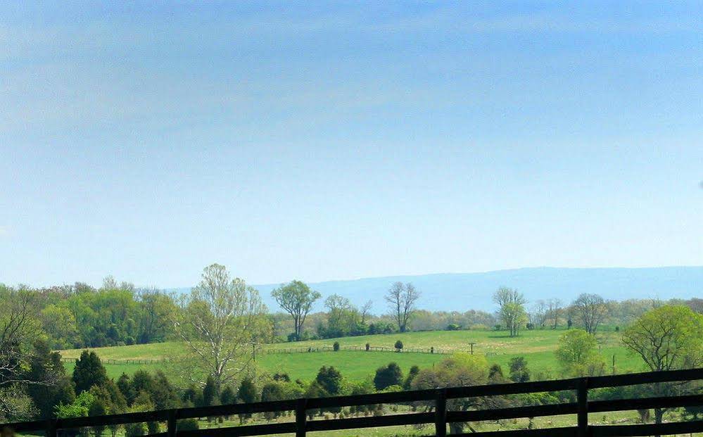 L'Auberge Provencale Bed & Breakfast
