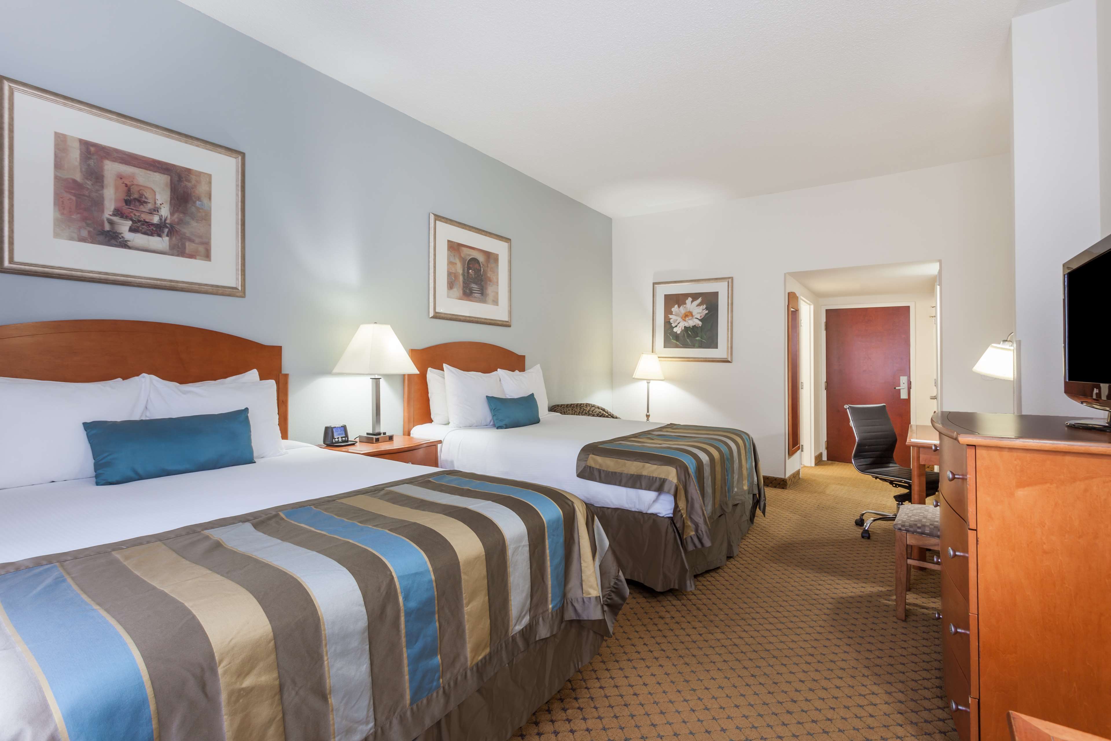 Spark by Hilton Winchester