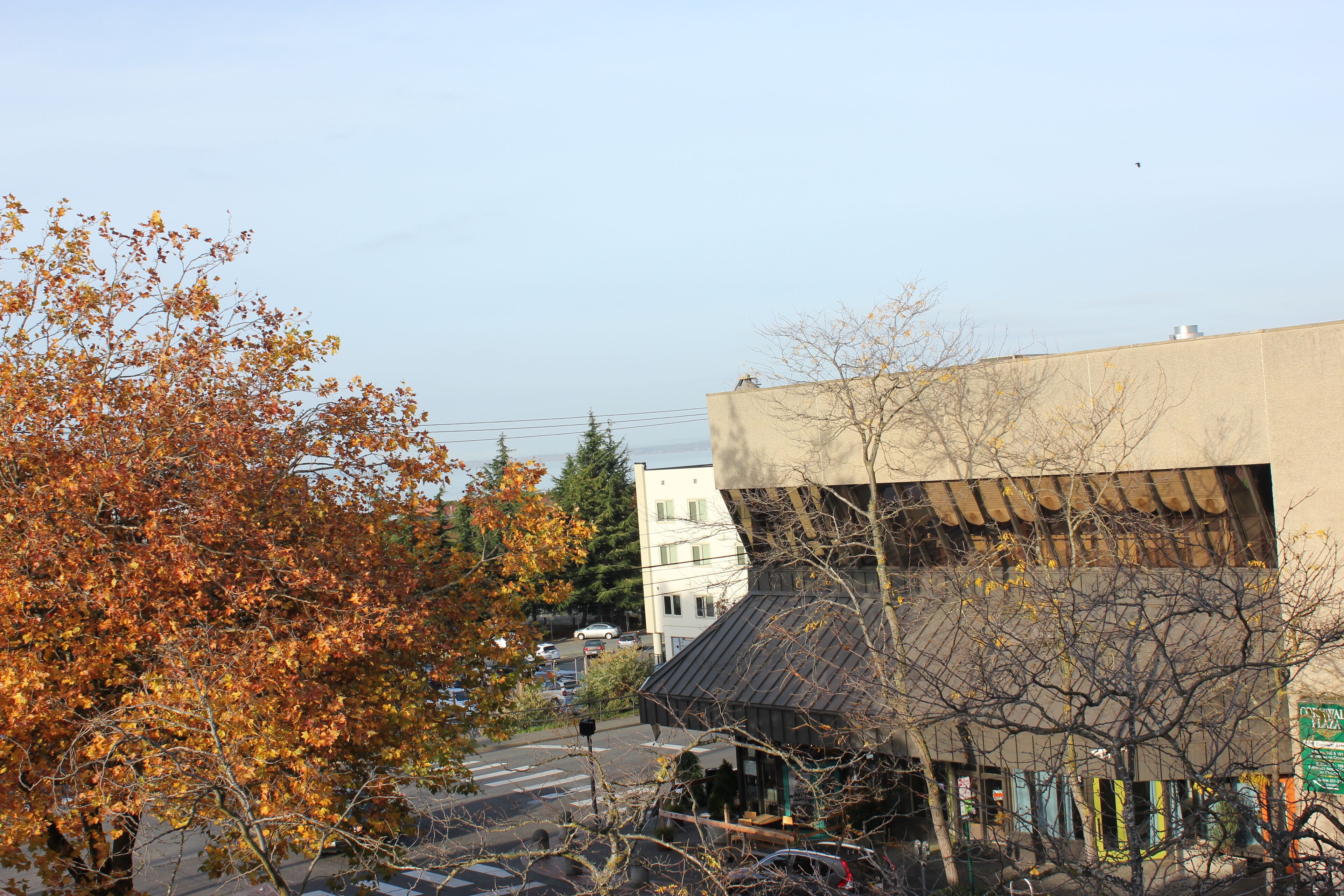 Hotel Leo