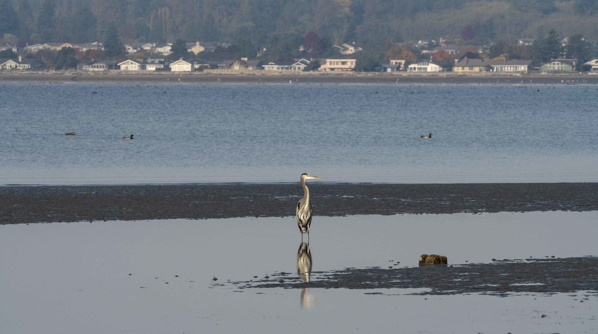 Raintree's Sandcastle, Birch Bay