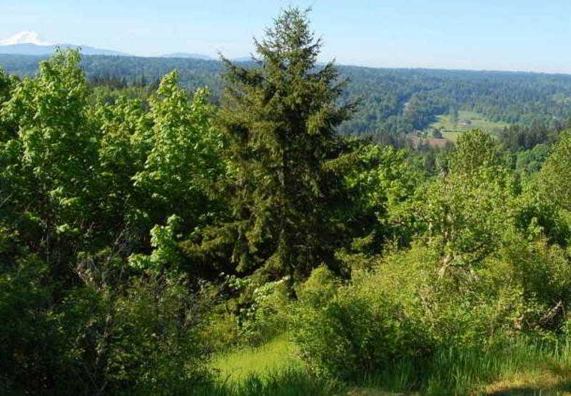 Holiday Inn & Suites Bothell