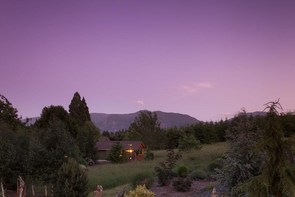 Carson Ridge Private Luxury Cabins