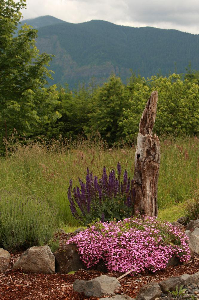 Carson Ridge Private Luxury Cabins