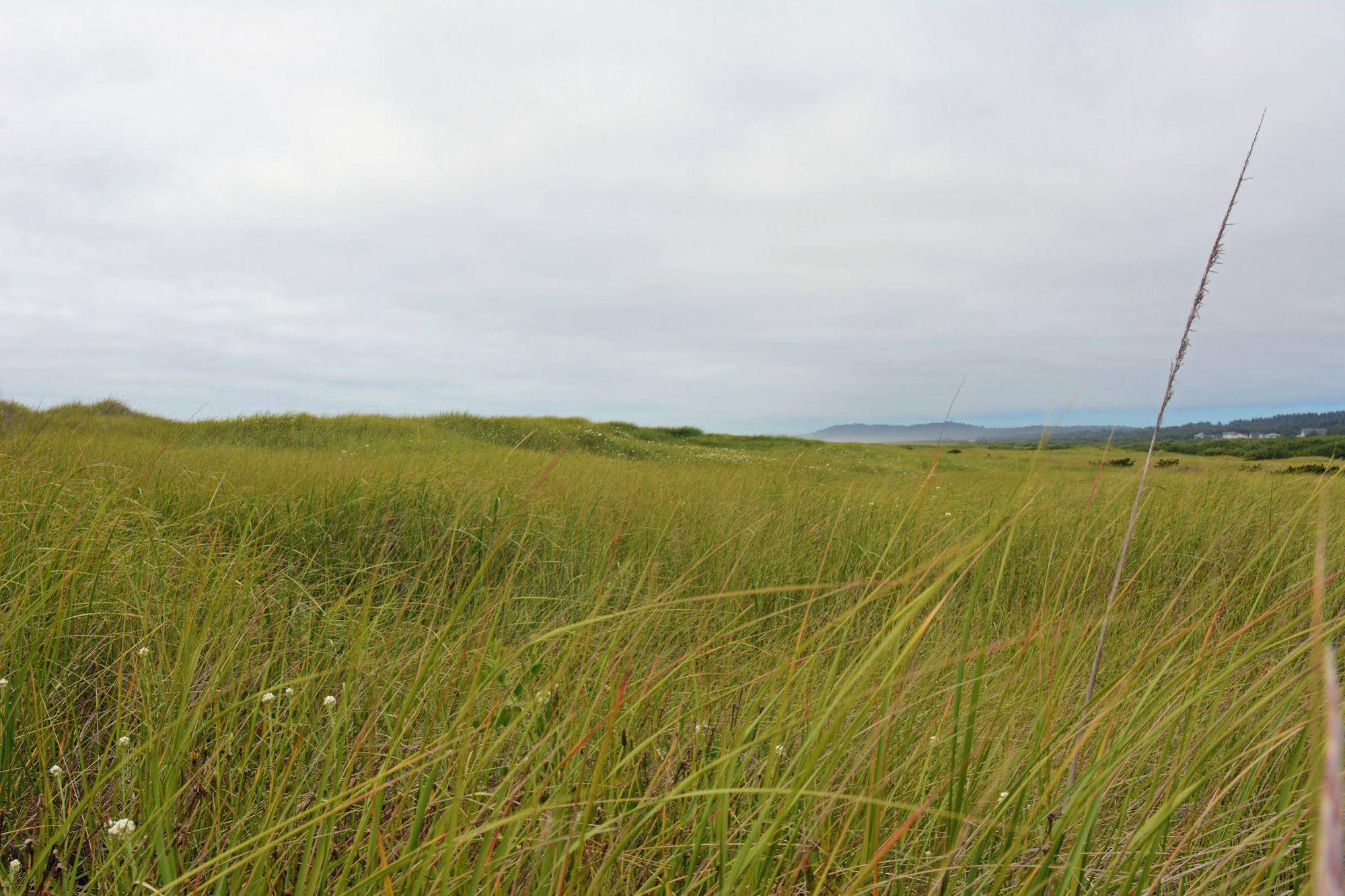 Surfcrest Resort Condominiums, a VRI Resort