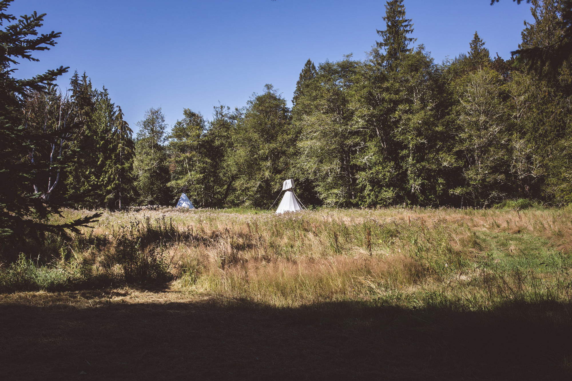 Mount Rainier Valley Ranch