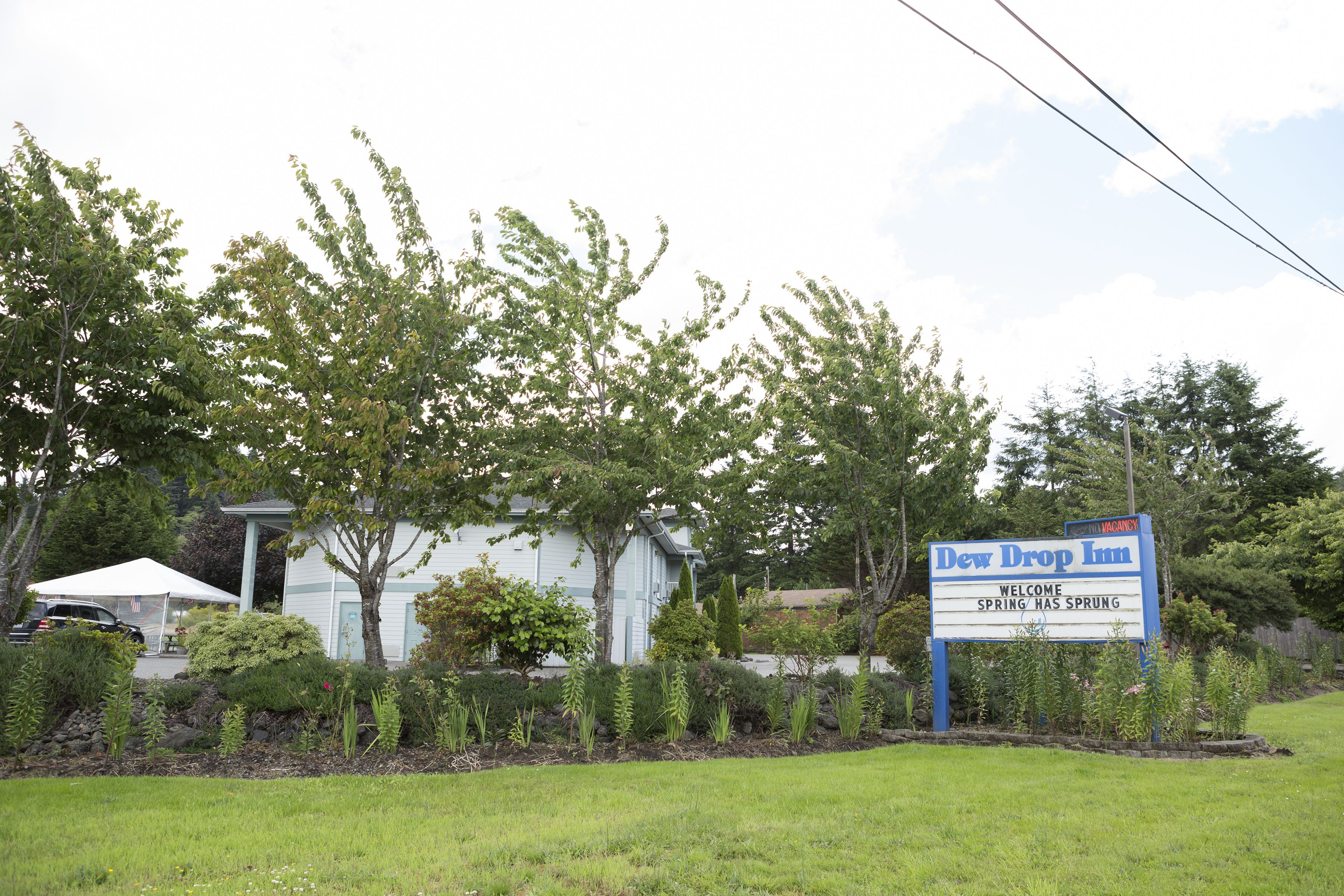 Dew Drop Inn Motel Forks