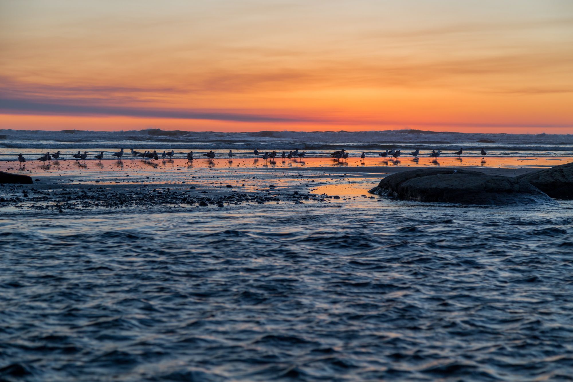 Kalaloch Lodge in Olympic National Park