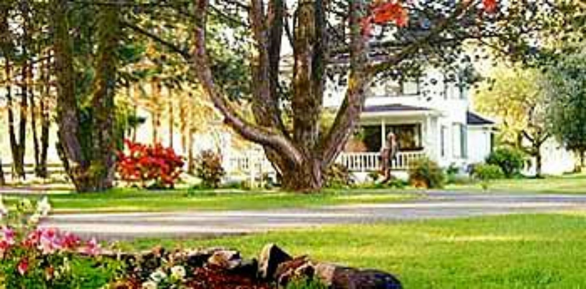 Miller Tree Inn