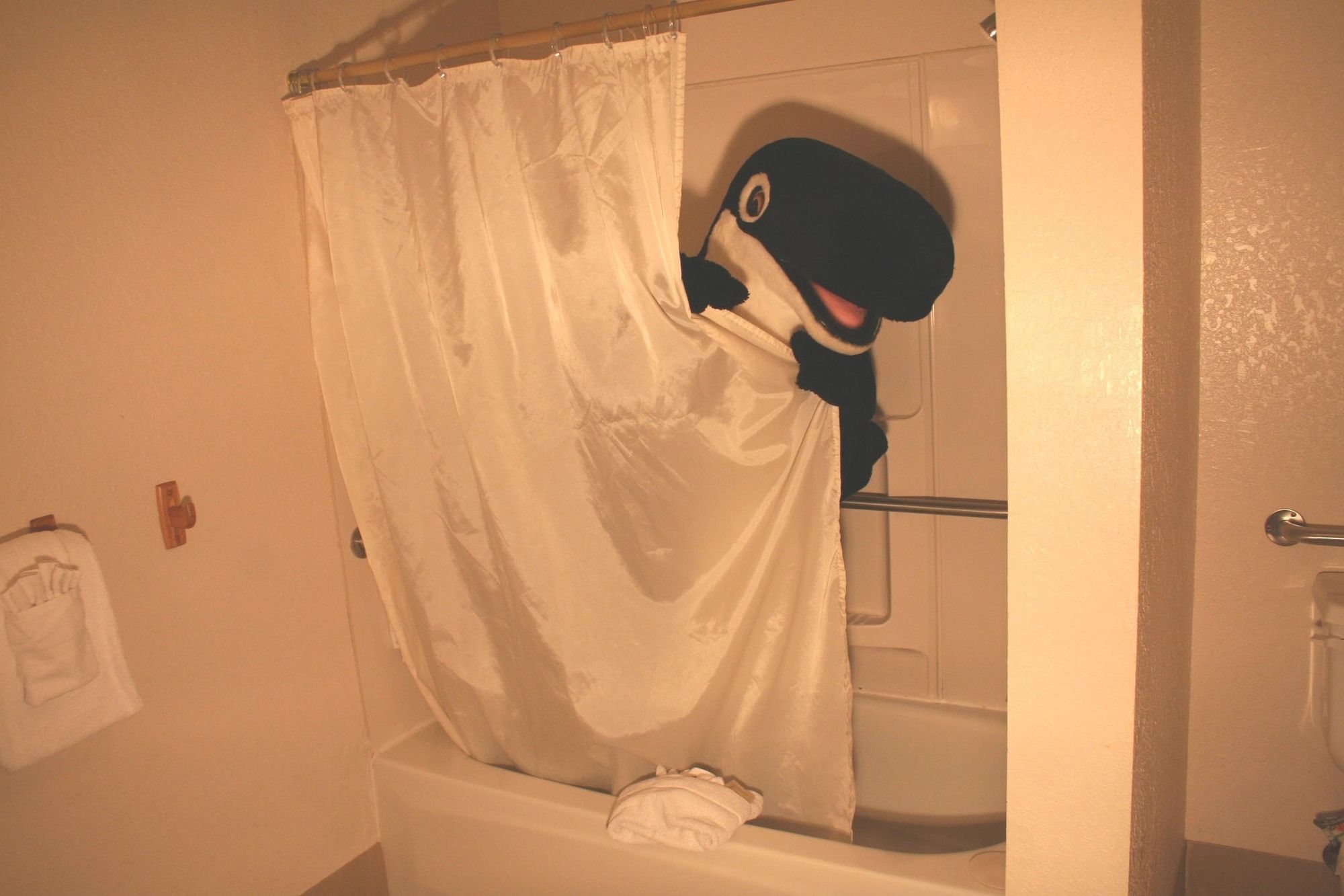 The Orca Inn