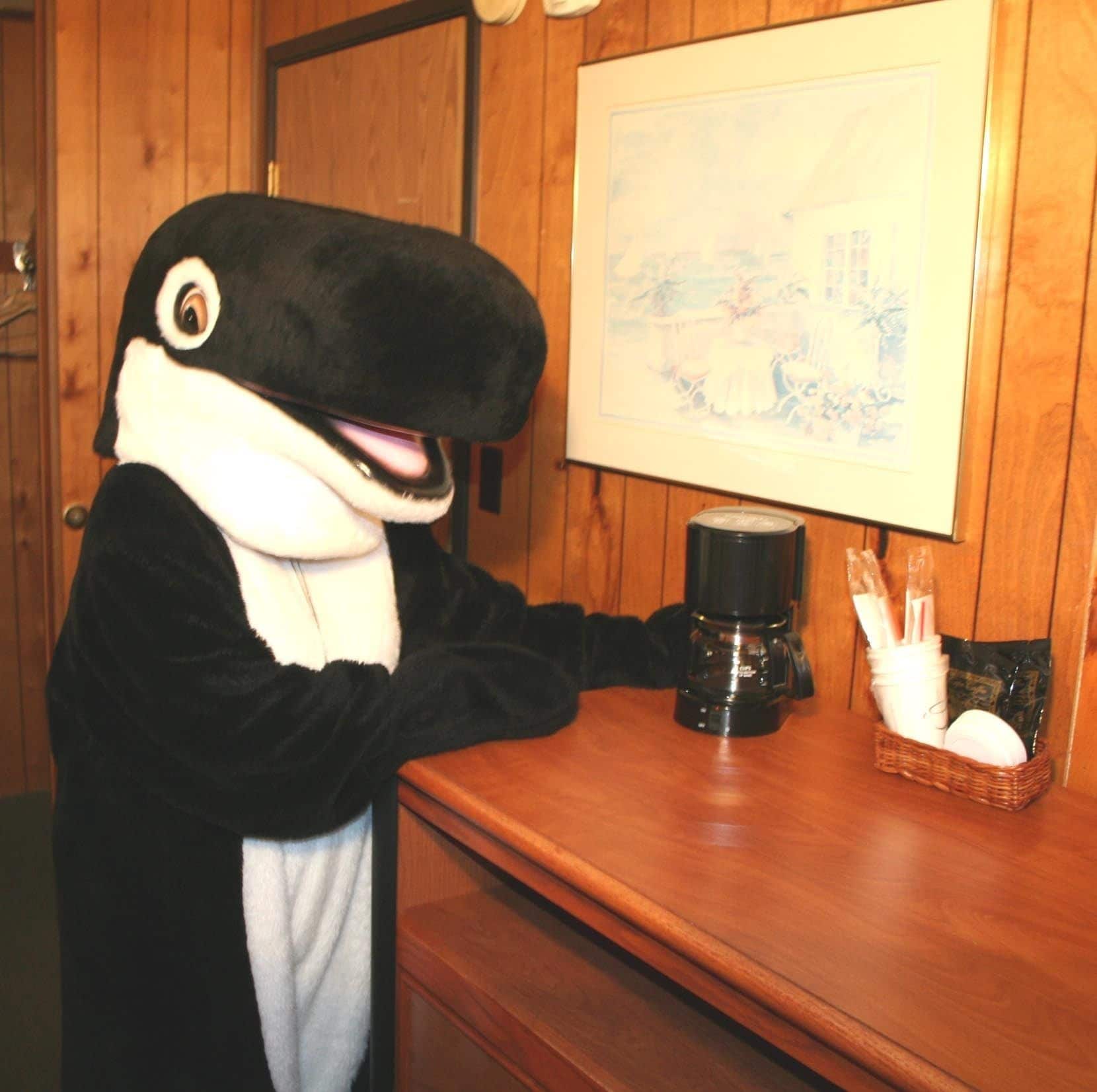 The Orca Inn