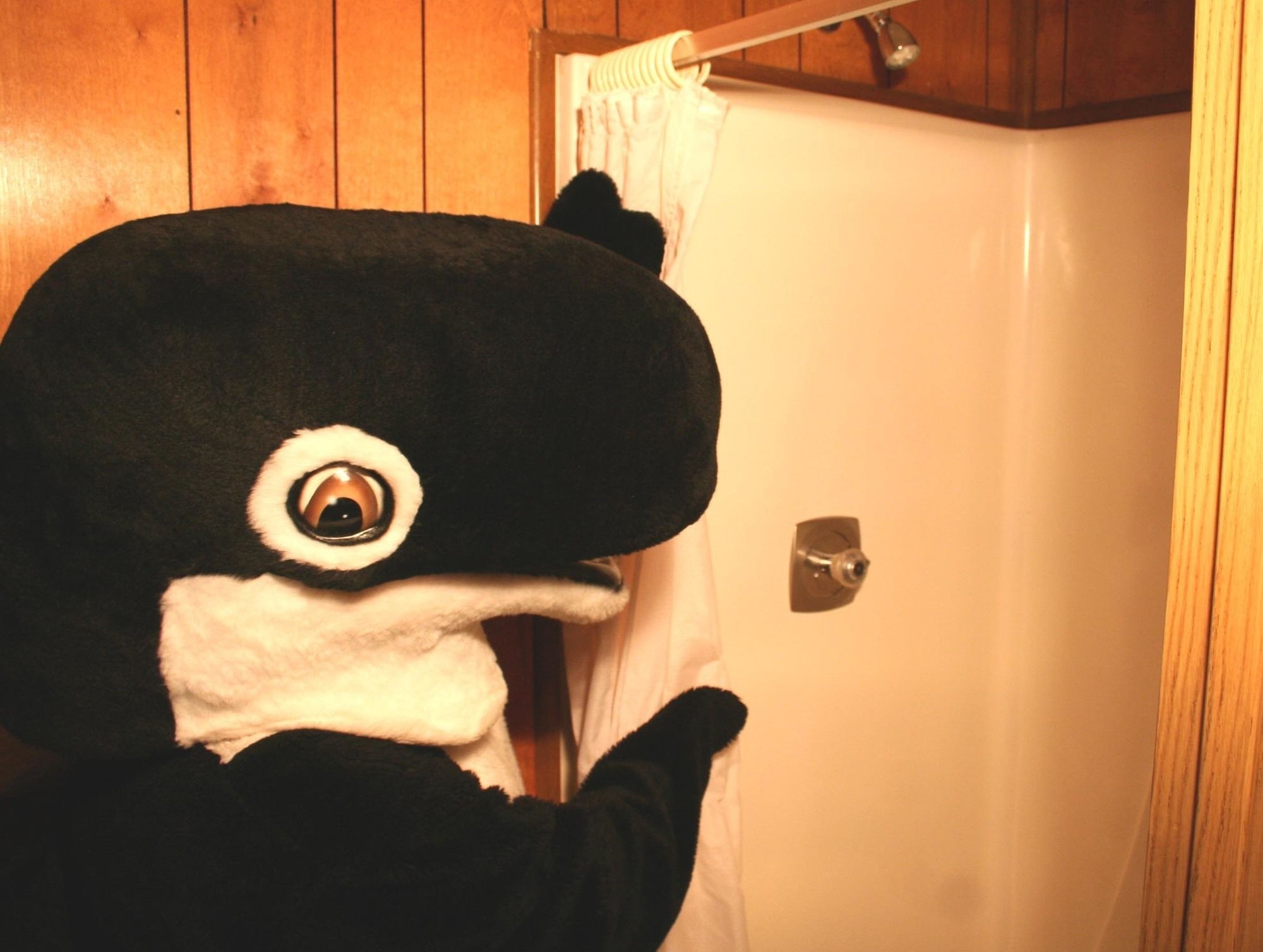 The Orca Inn
