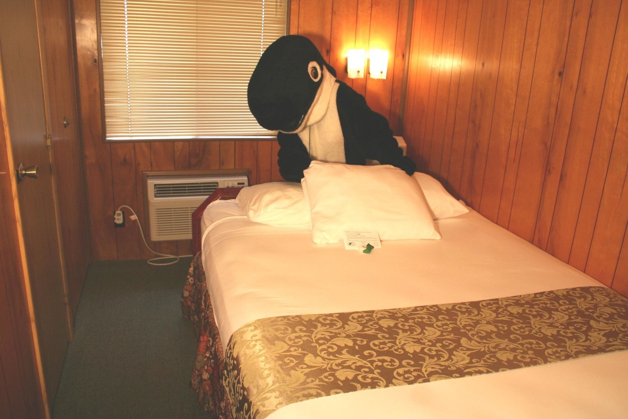 The Orca Inn