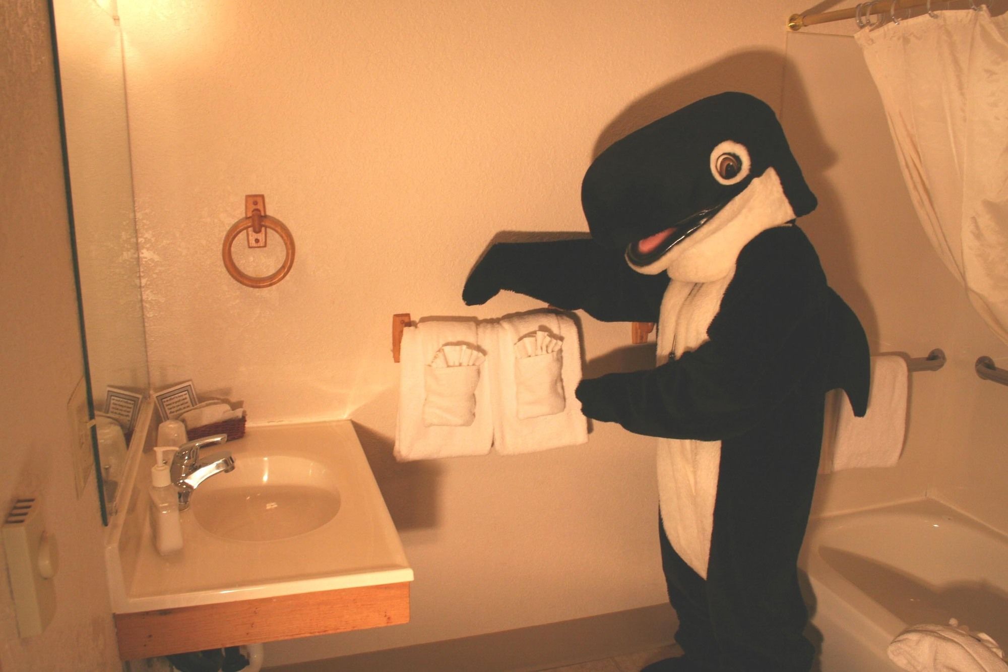 The Orca Inn