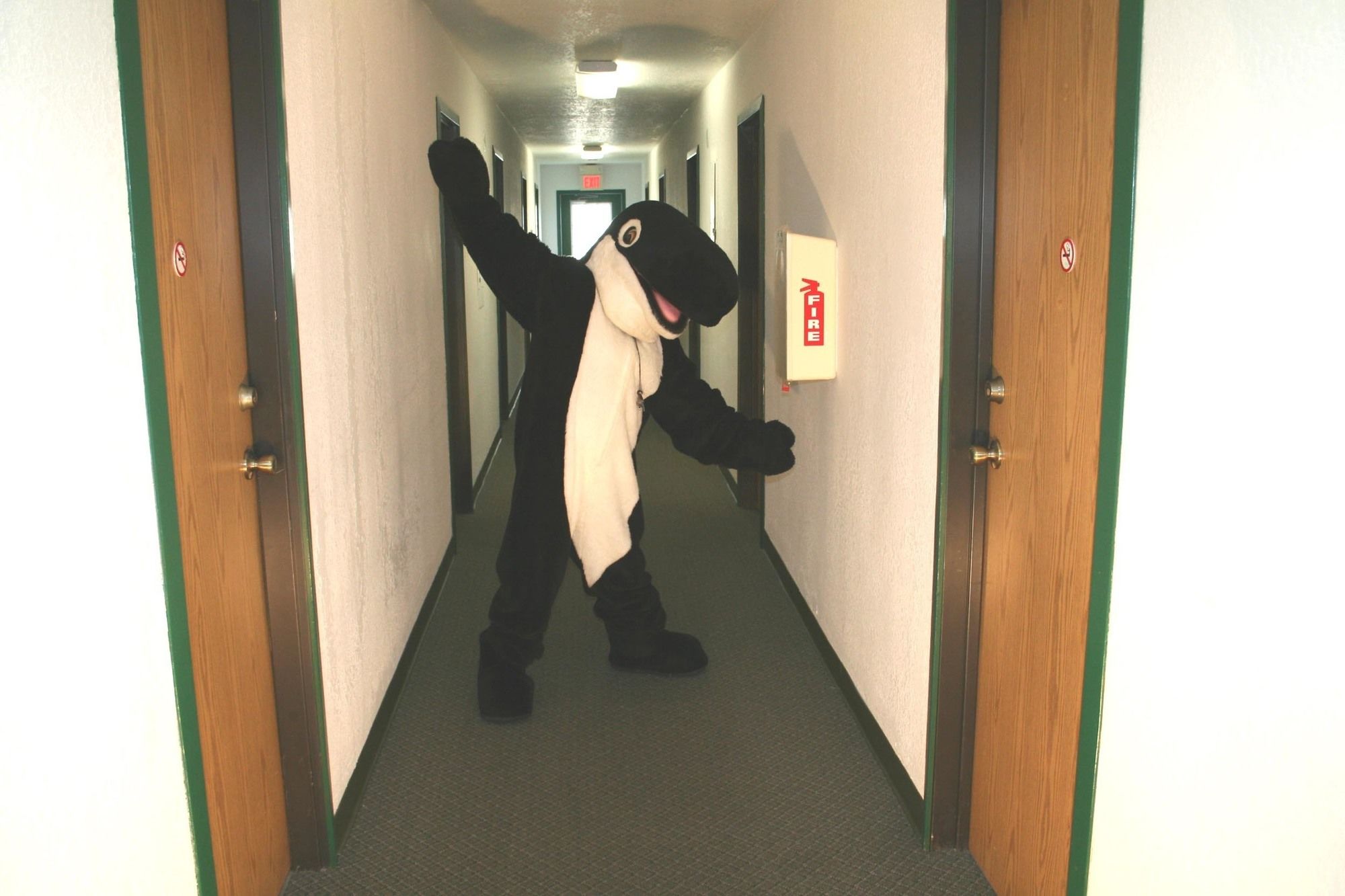 The Orca Inn