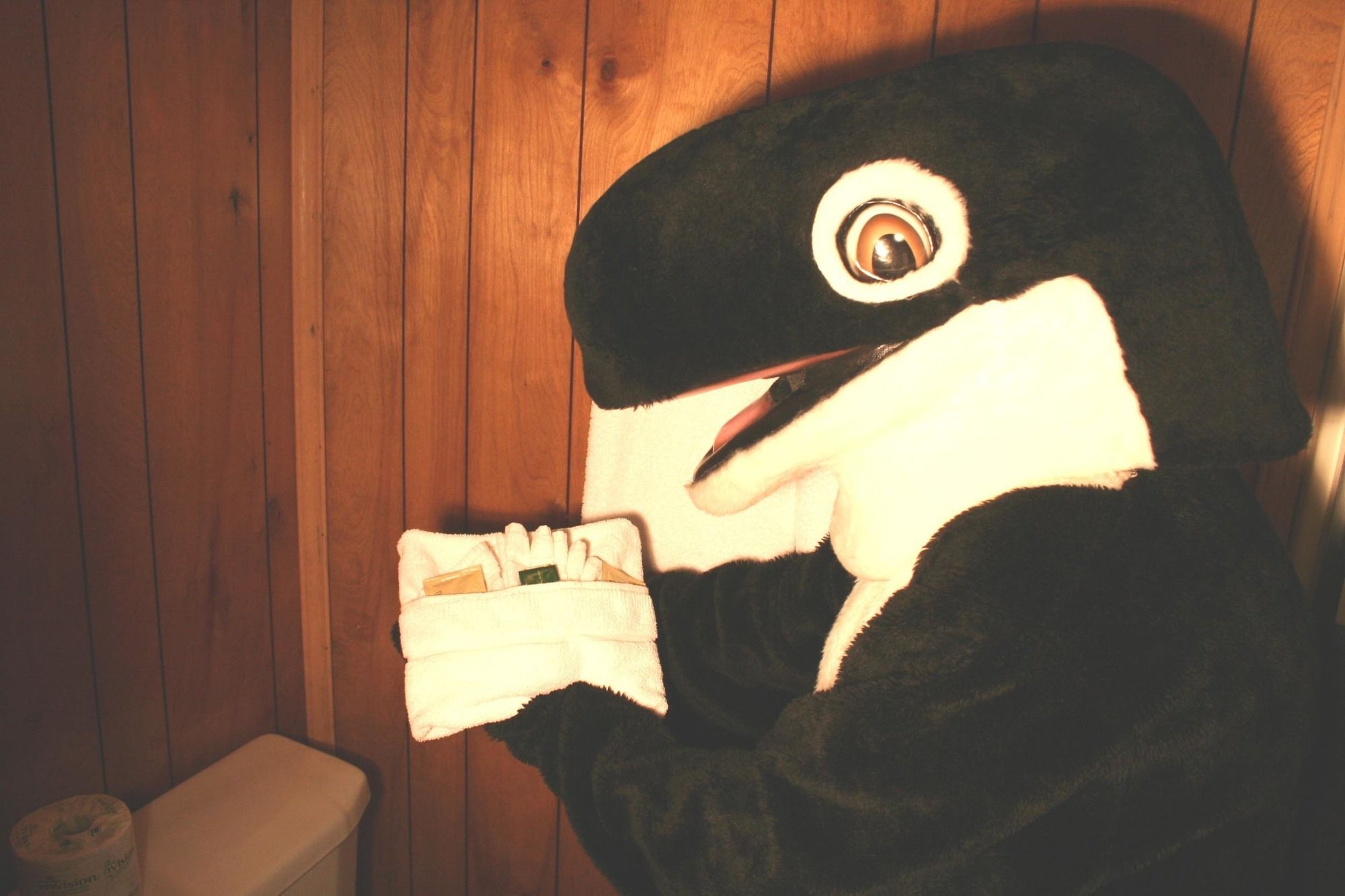 The Orca Inn