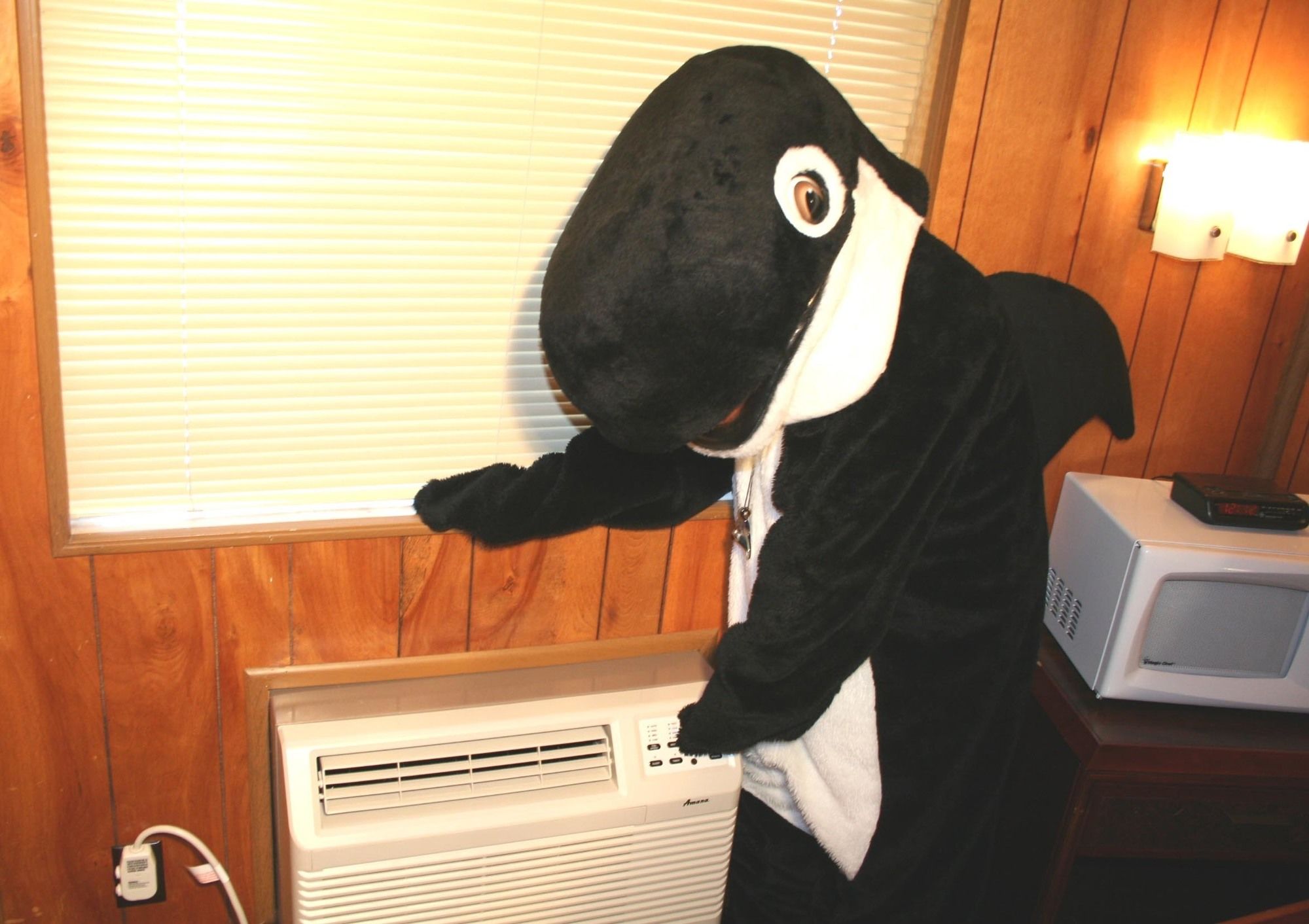 The Orca Inn
